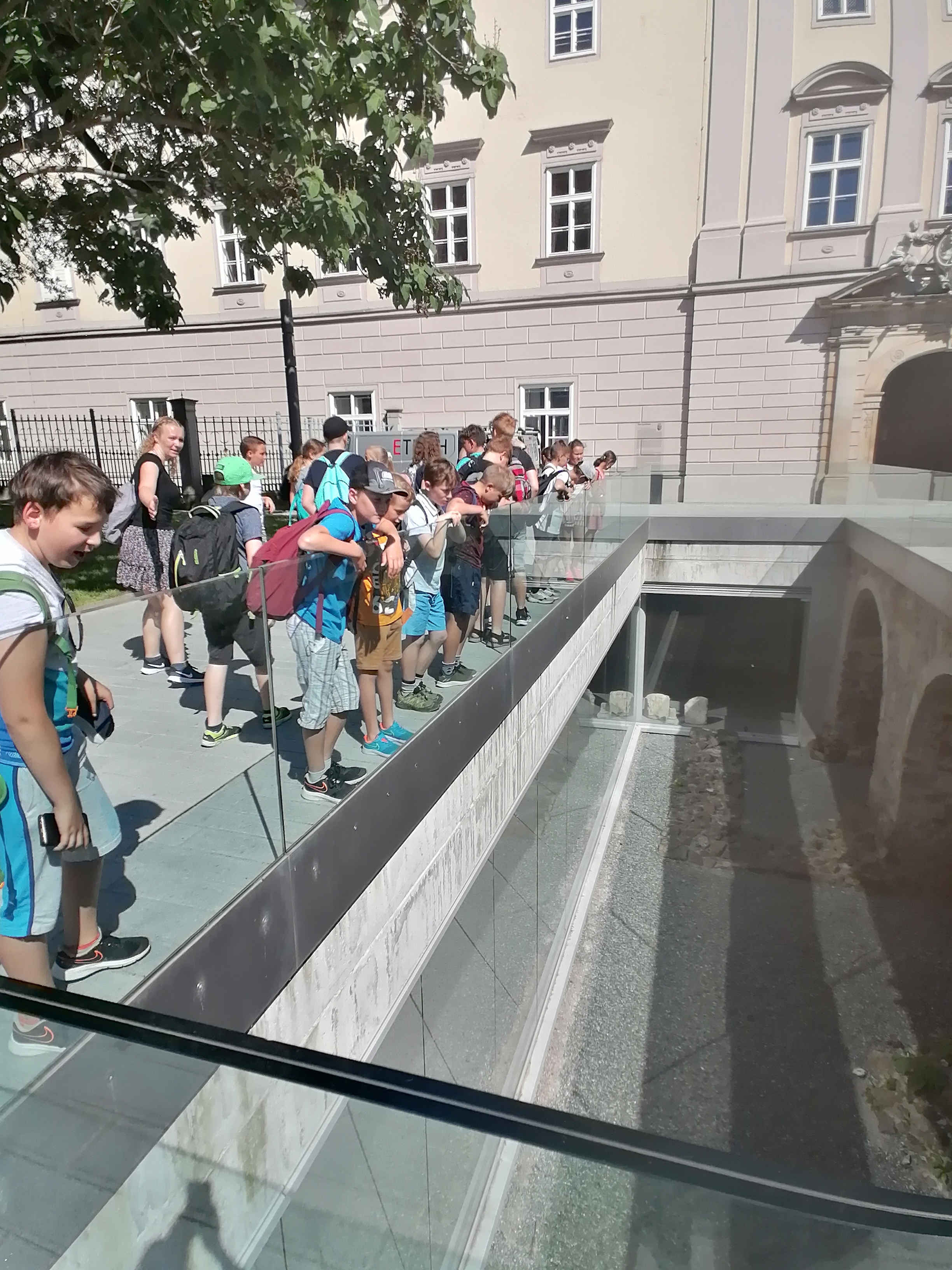 IMG_20210617_100117.jpg IMG_20210617_100117.jpg