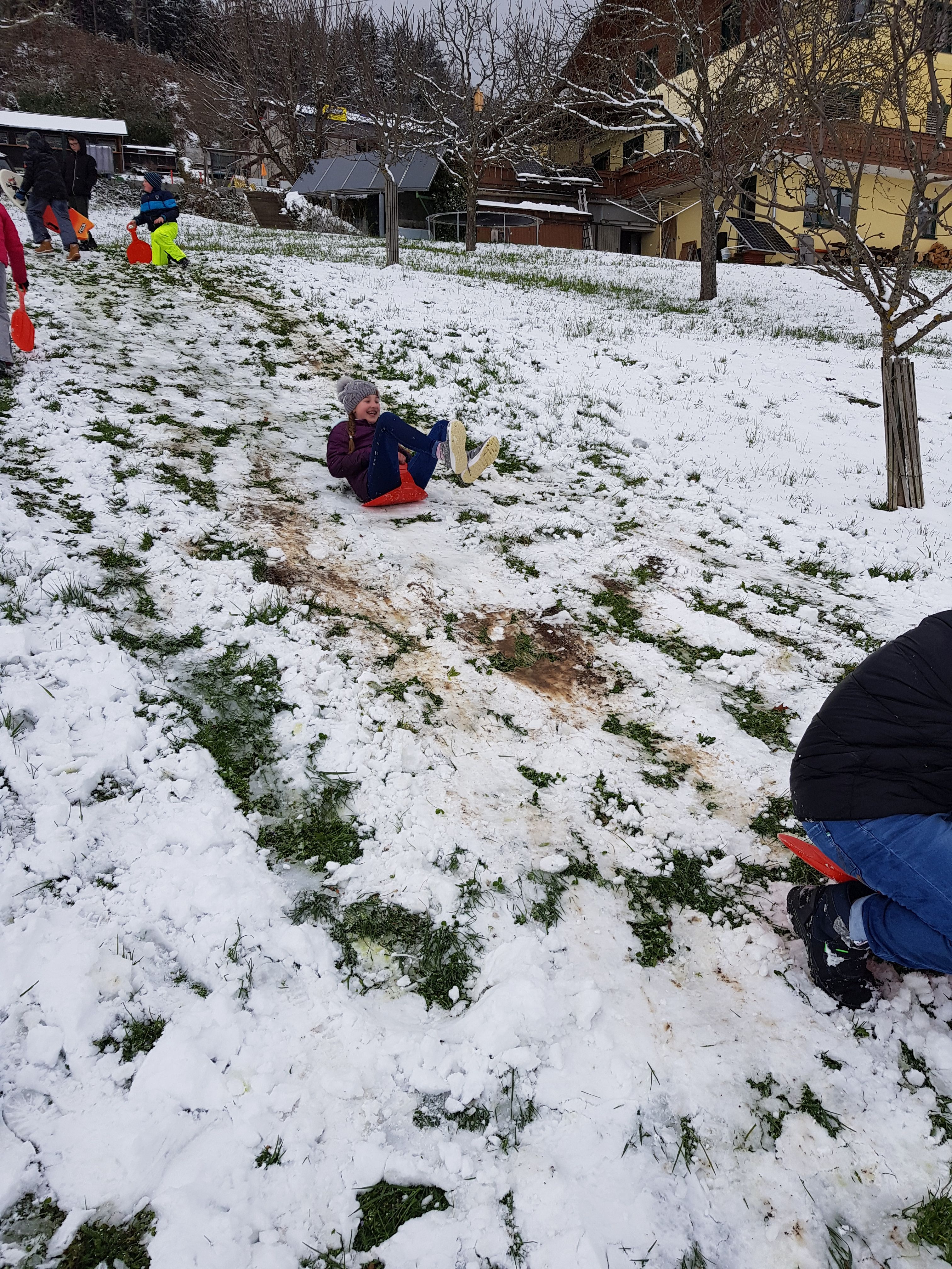 20210407_131252.jpg 20210407_131252.jpg