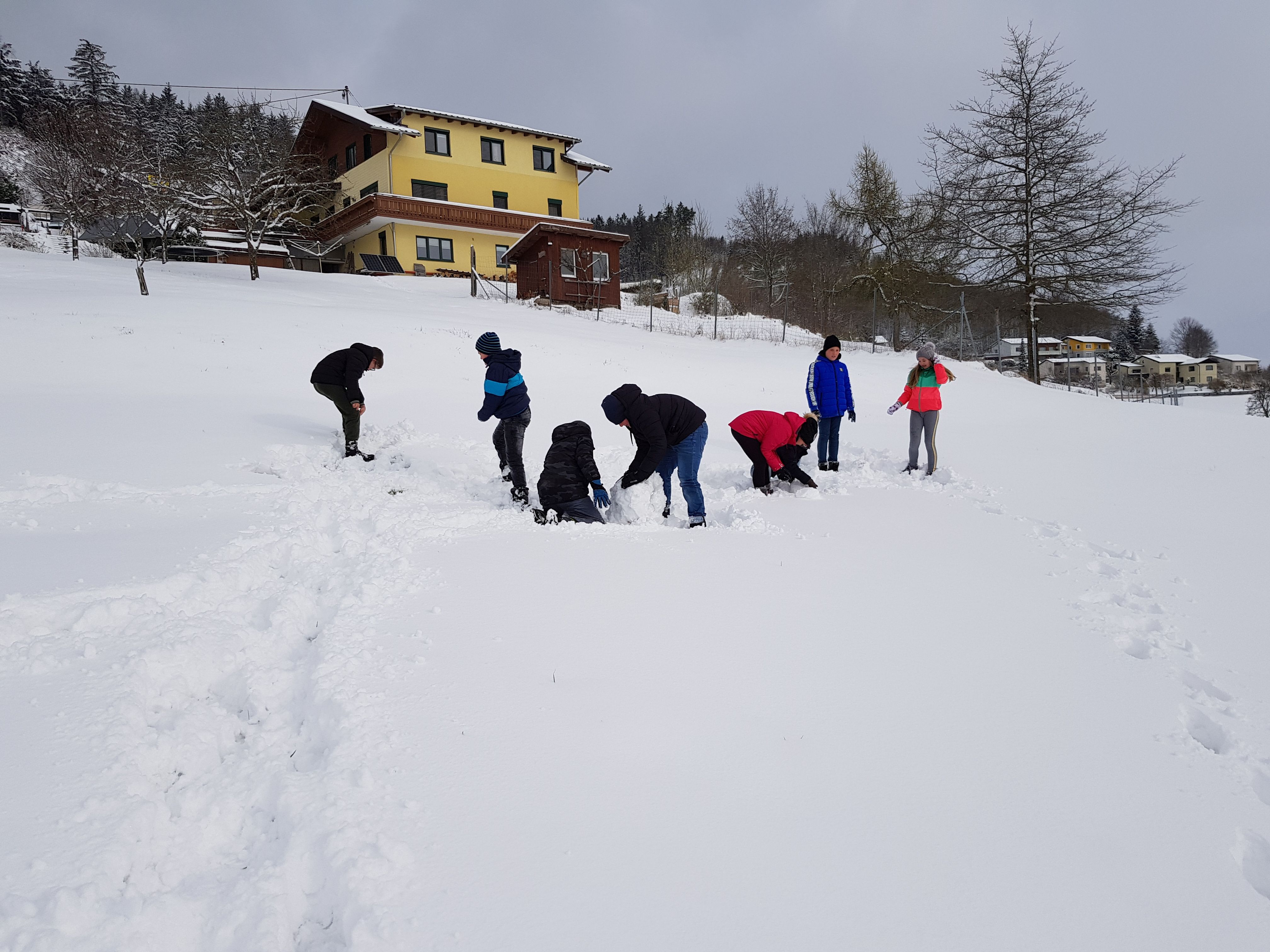 20210408_091217.jpg 20210408_091217.jpg