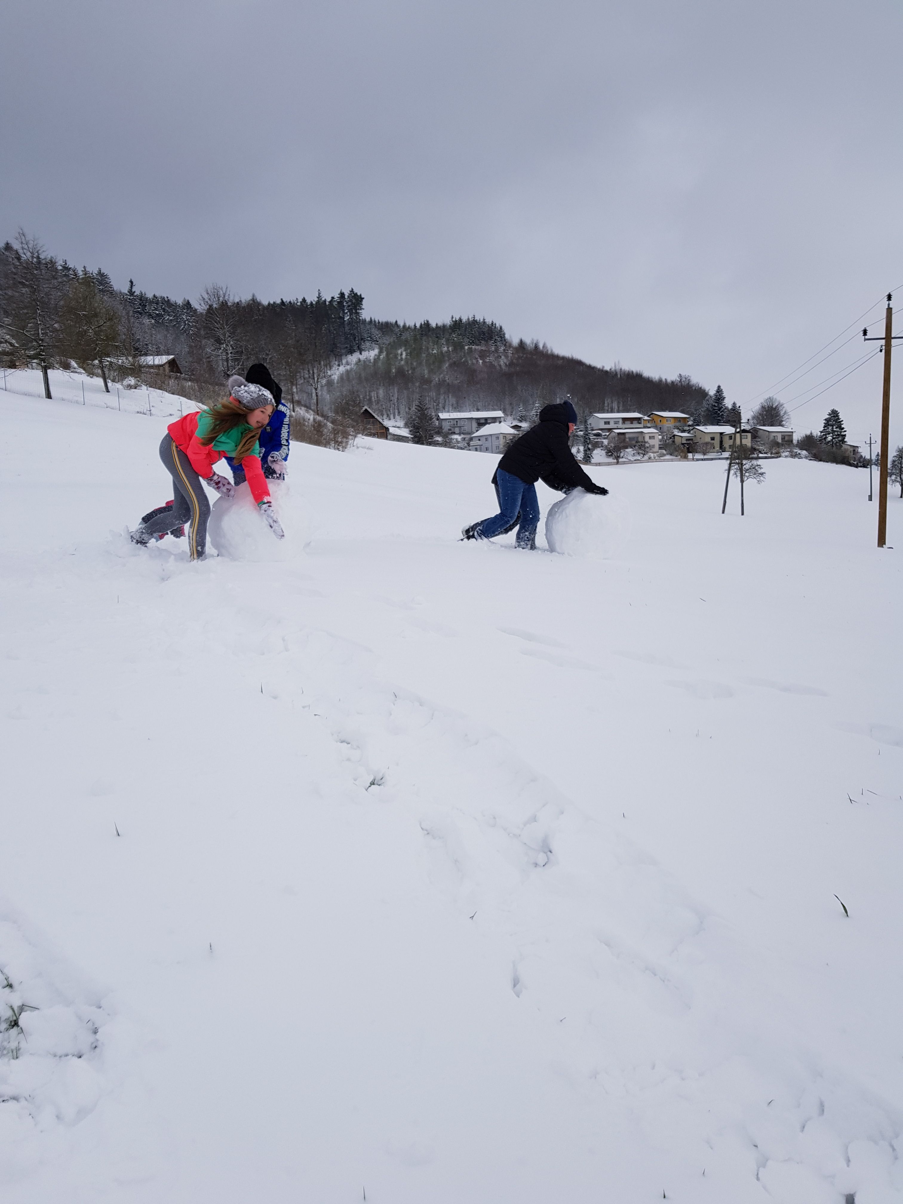 20210408_091824.jpg 20210408_091824.jpg