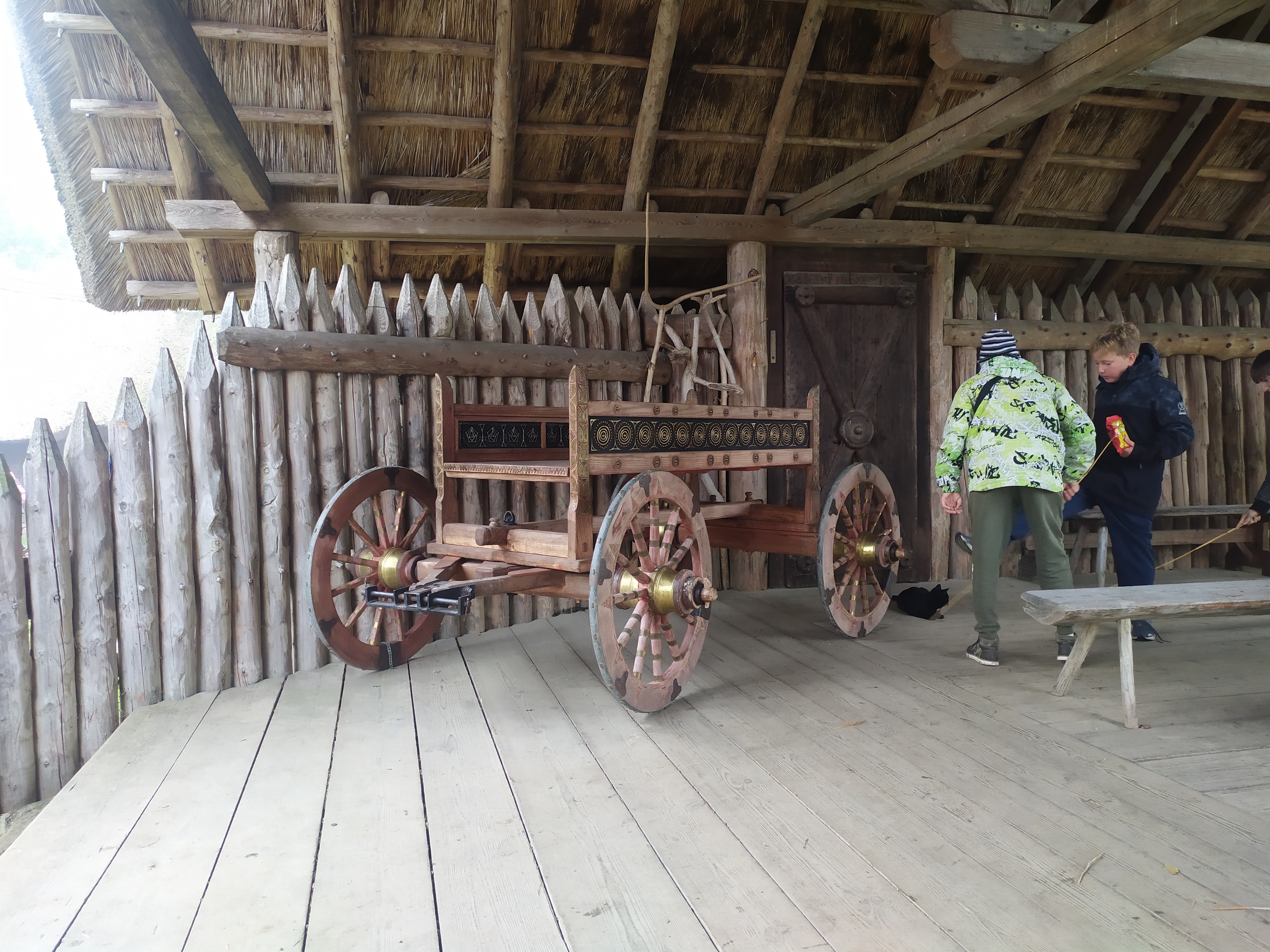 IMG_20221005_100022_1.jpg IMG_20221005_100022_1.jpg