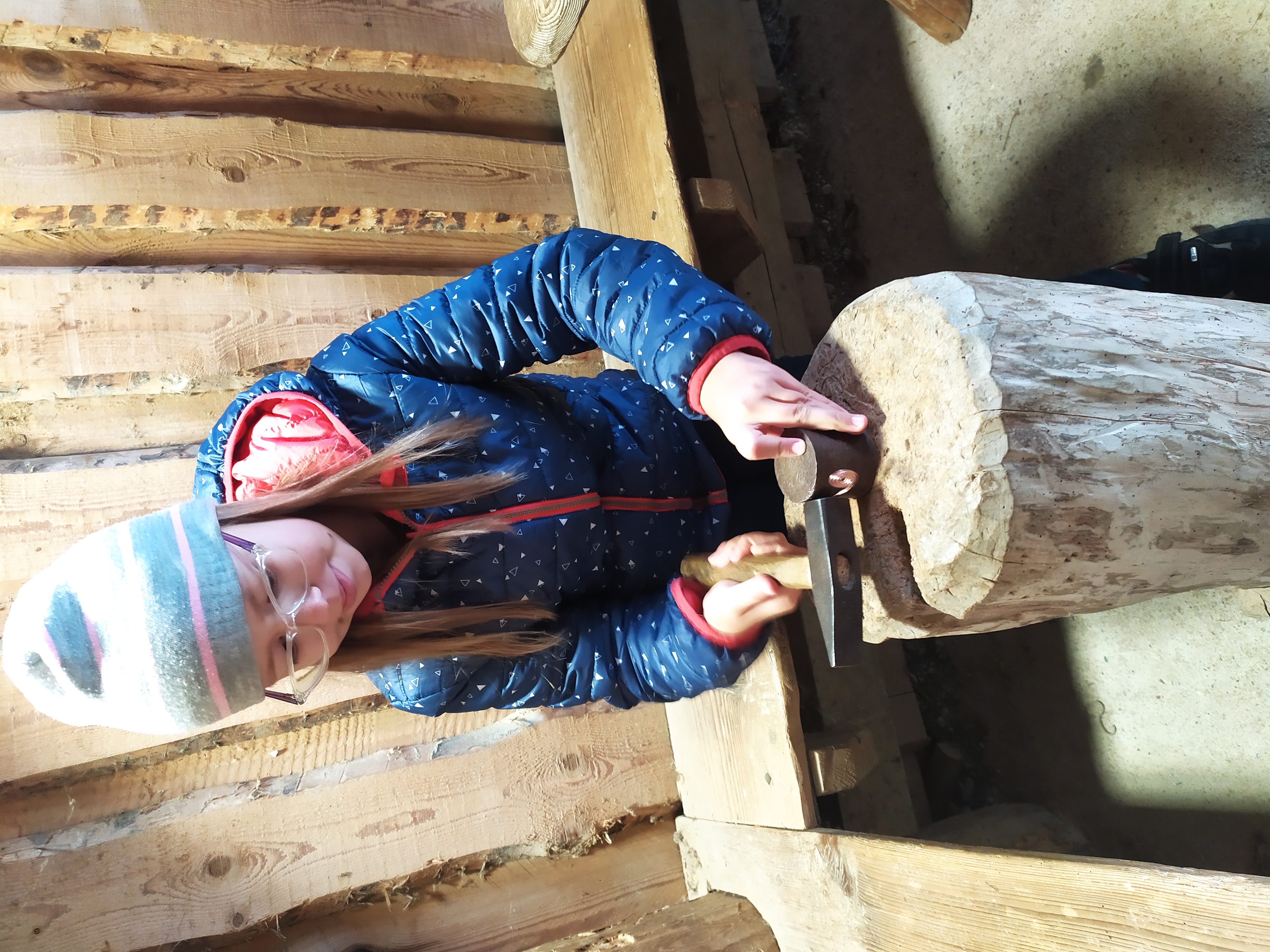 IMG_20221005_102055.jpg IMG_20221005_102055.jpg