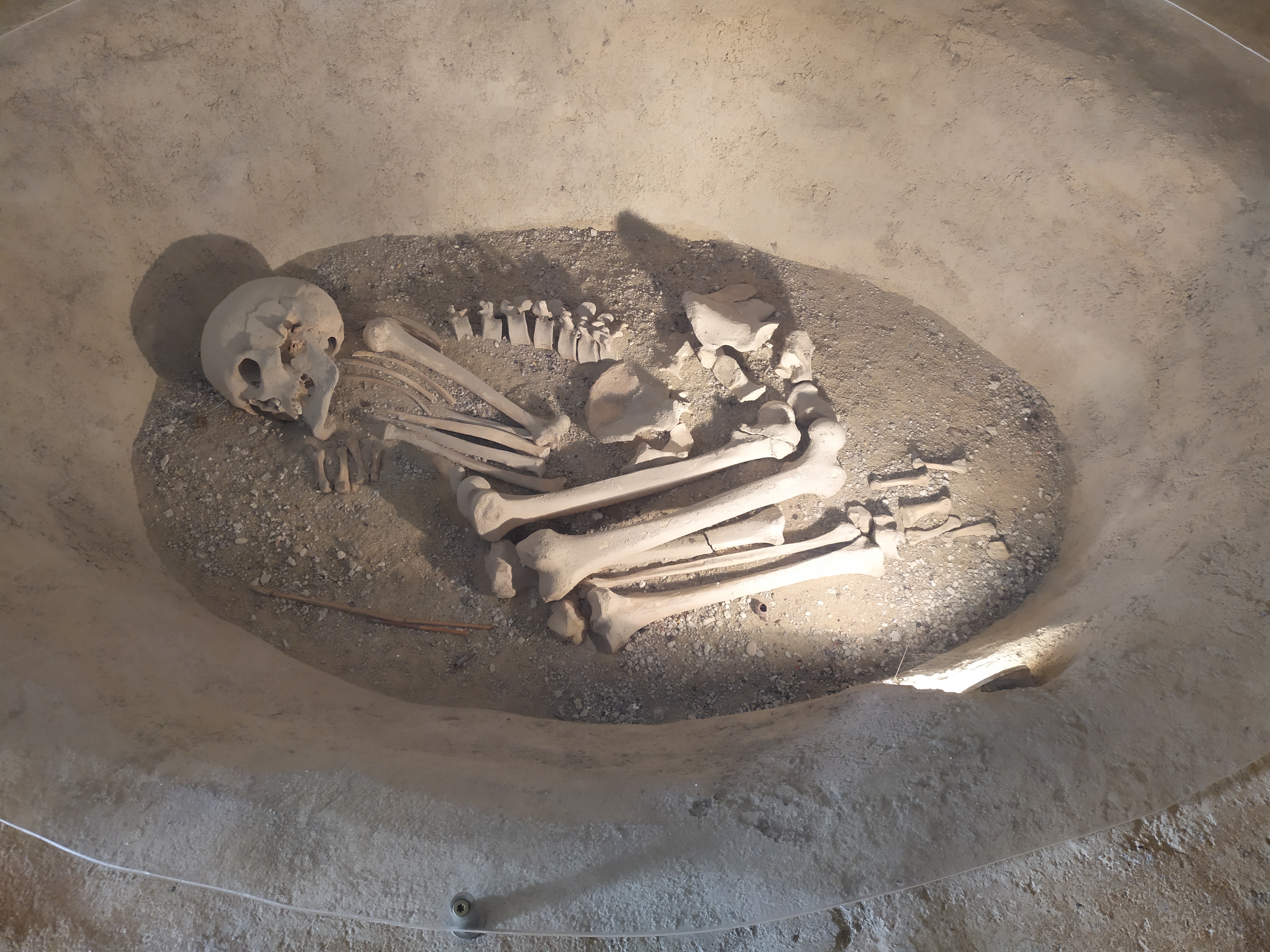 IMG_20221005_114751.jpg IMG_20221005_114751.jpg