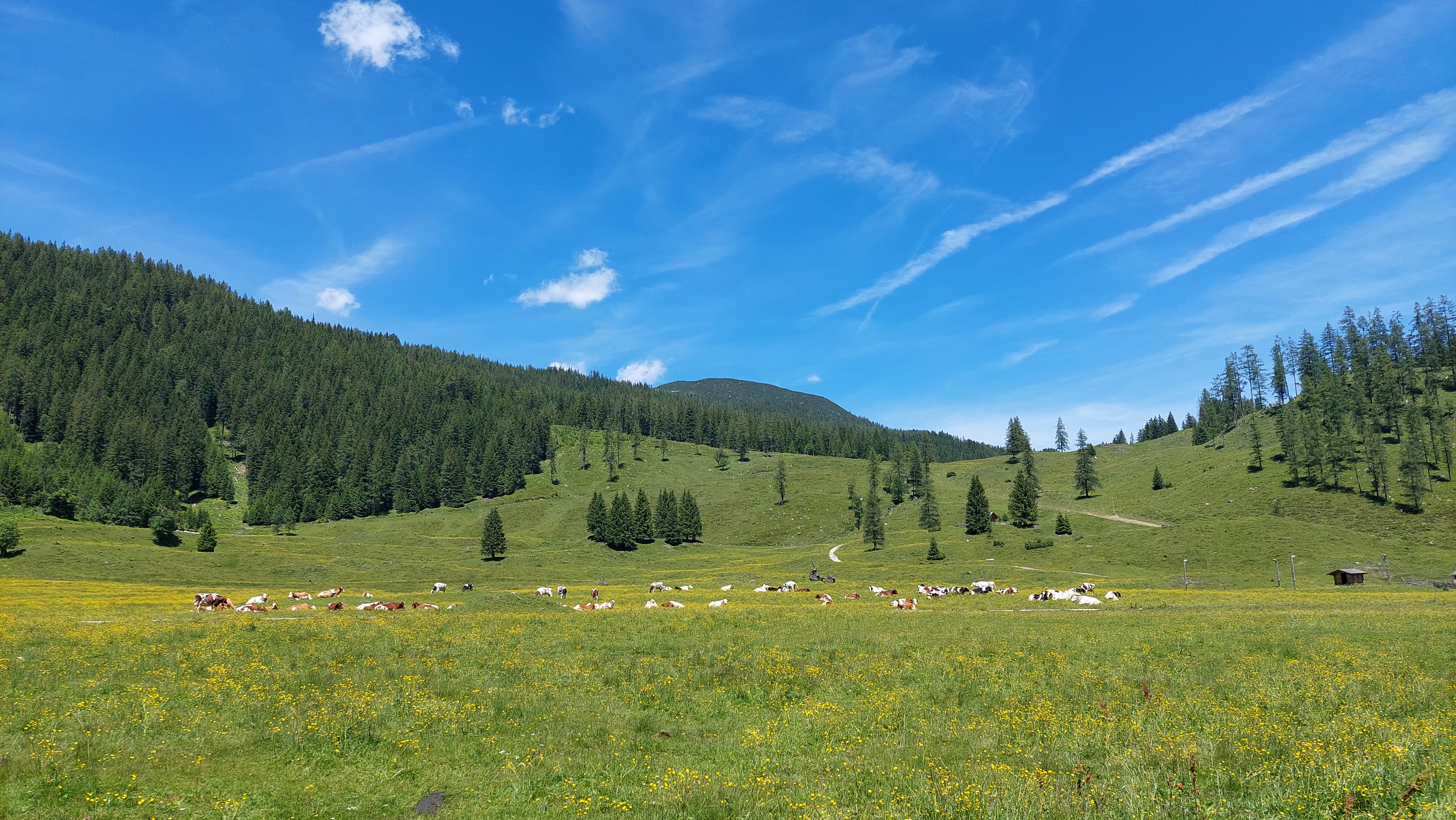 20240618_124519.jpg 20240618_124519.jpg