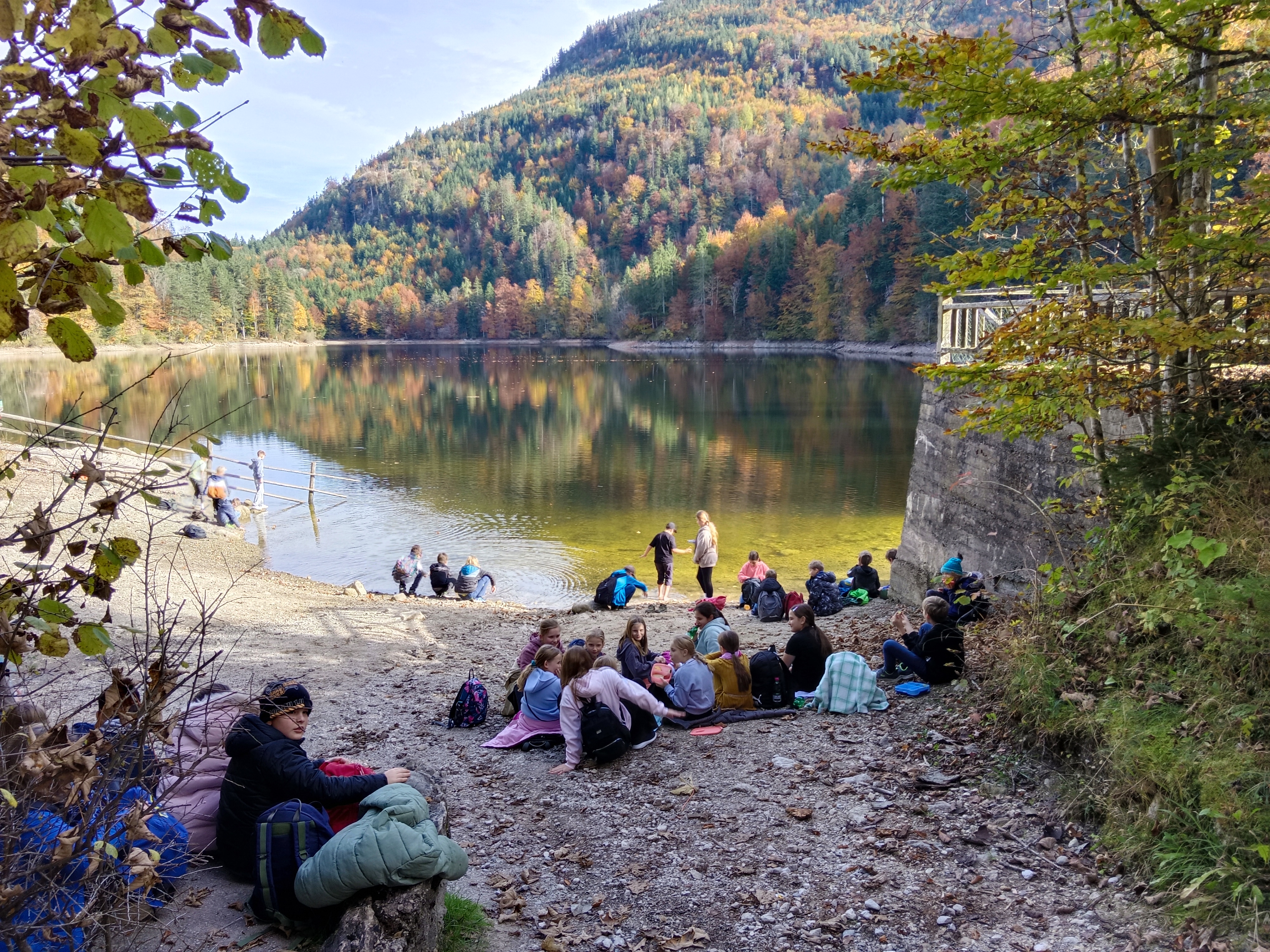 IMG_20251020_144459.jpg IMG_20251020_144459.jpg